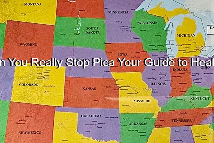 Can You Really Stop Pica Your Guide to Healing